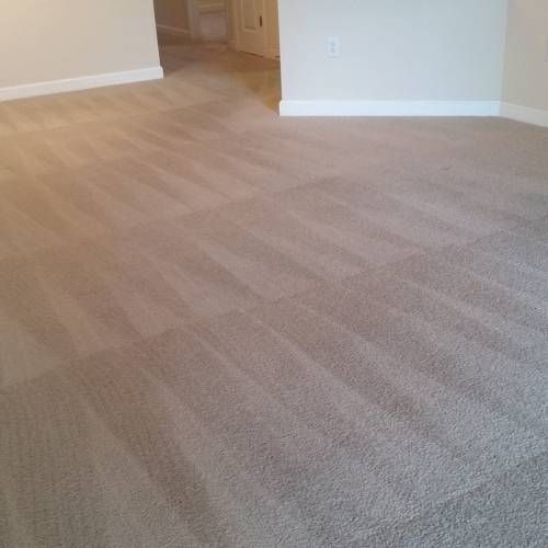 Carpet Cleaning Myrtle Beach SC Results 2