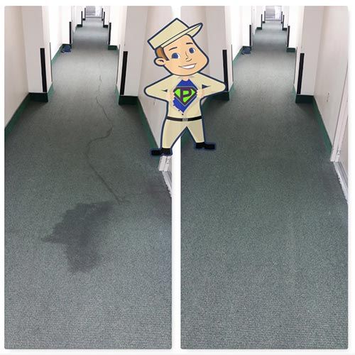 Commercial Carpet Cleaning Conway Results
